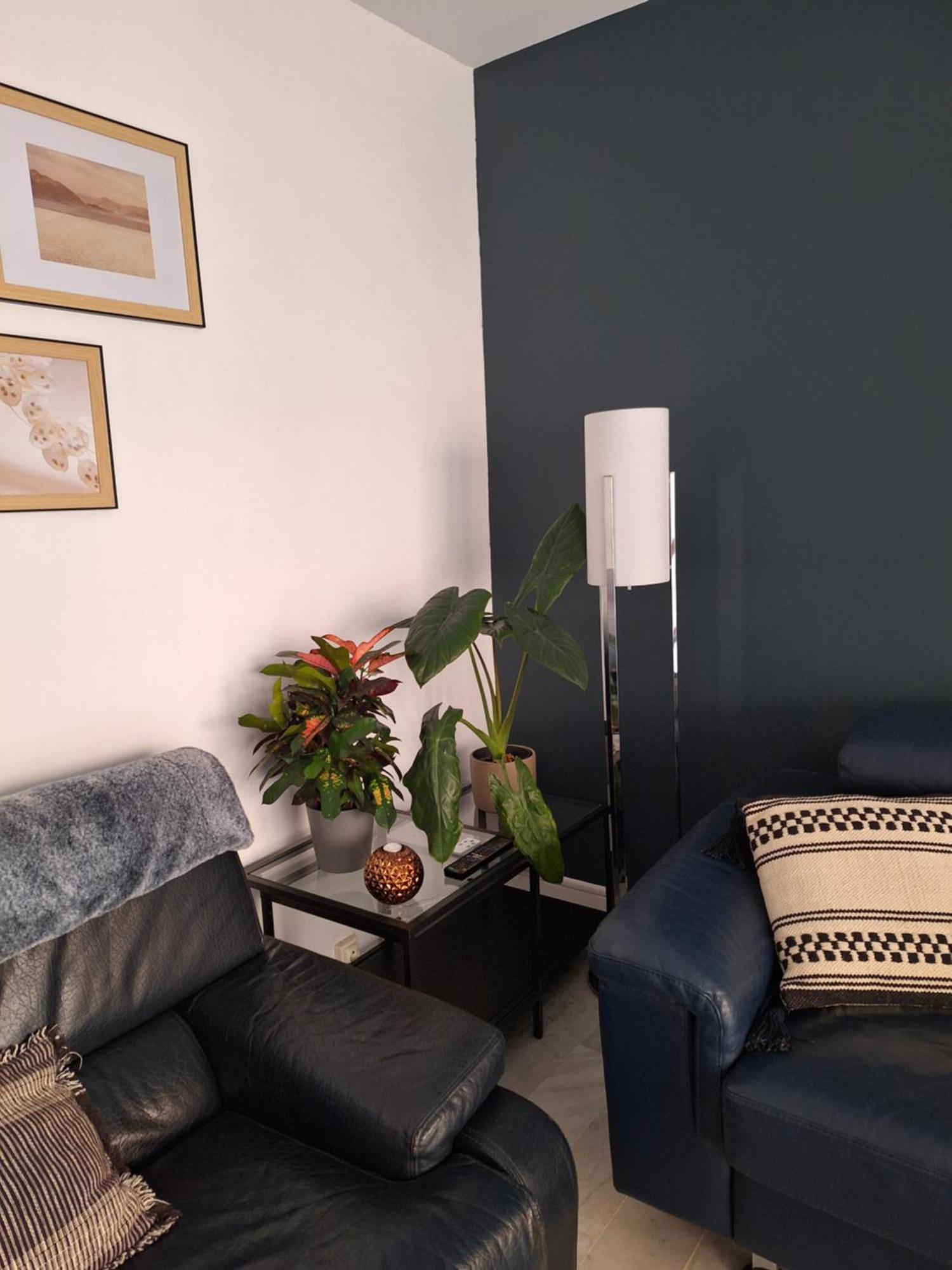 Appartement T3 Plein Centre Saint-Raphaël المظهر الخارجي الصورة
